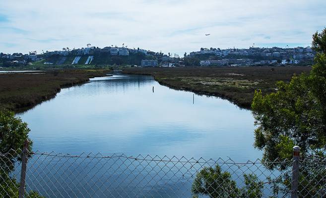 Saltwater Marsh as seen from Ballona Creek