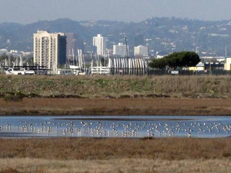Salt Pan