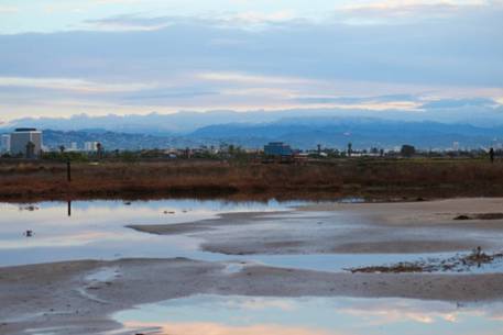 Seasonal Wetlands