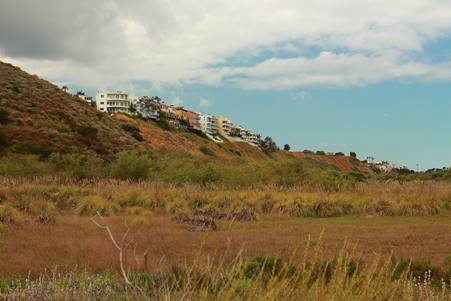 Uplands Habitats in Ballona