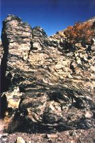 http://www.cco.caltech.edu/~meltzner/mono/mono03_sm.jpg
