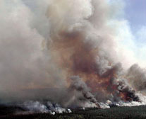 Alaskan Fires