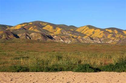 carrizoplain11elkhornroad.jpg