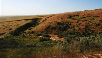 temblor4andreas4wallaceoffset.jpg