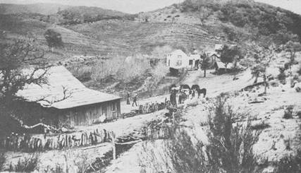 lptown2postofficestore1892.jpg